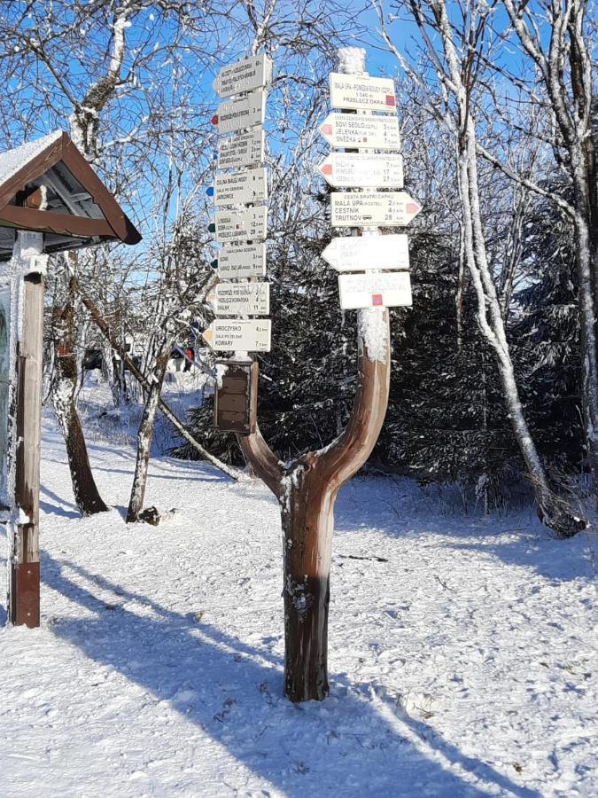 Apartmán s vyhlídkou 276-16 Horní Maršov Exterior foto